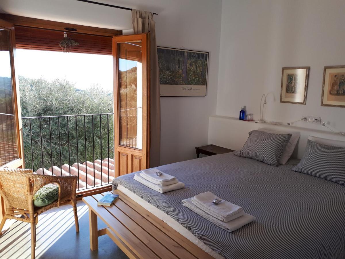 Almoharin Flores Amarillas B&B מראה חיצוני תמונה